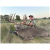 Image 2 : 3-day Texas Whitetail (up to 230 SCI) Hunt for One Hunter and One Non-hunter
