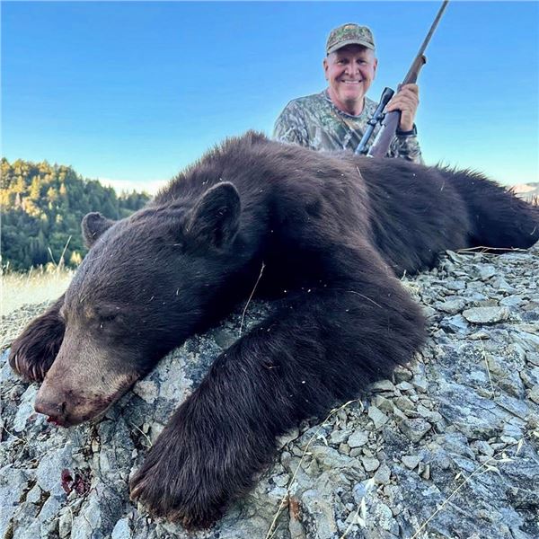 5-day California Blacktail Deer, Black Bear, Wild Boar hunt for One Hunter