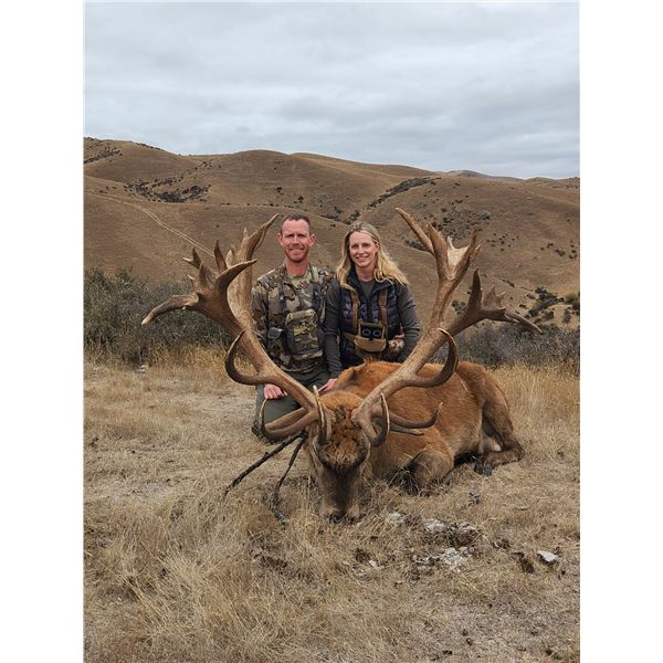 5-day New Zealand Red Stag Hunt for Two hunters