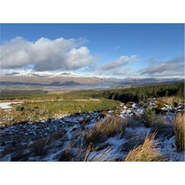 5-day Scotland Red Stag, Roe Deer, and Muntjac Hunt for One Hunter and One Hunters