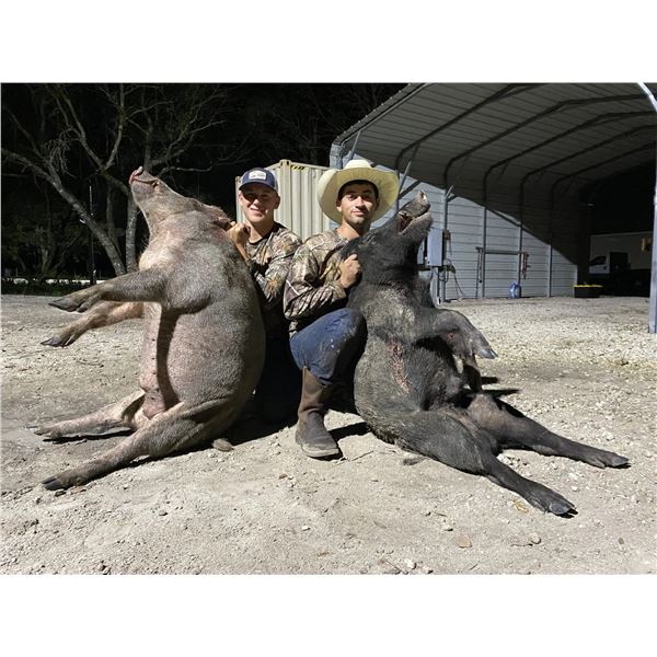 2-day Florida Group Hog Hunt for Four Hunters