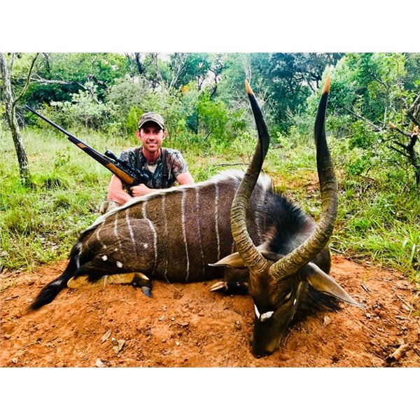 10-day South Africa Ultimate Plains Game Safari for Two Couples or Four Hunters