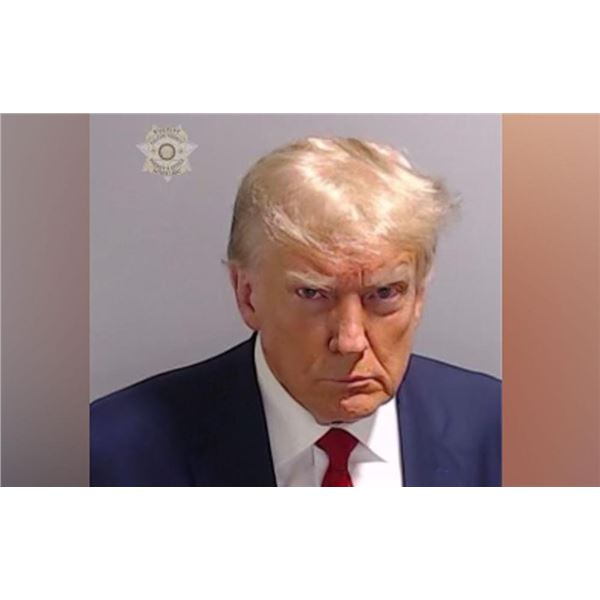 Donald Trump mugshot photo reprint