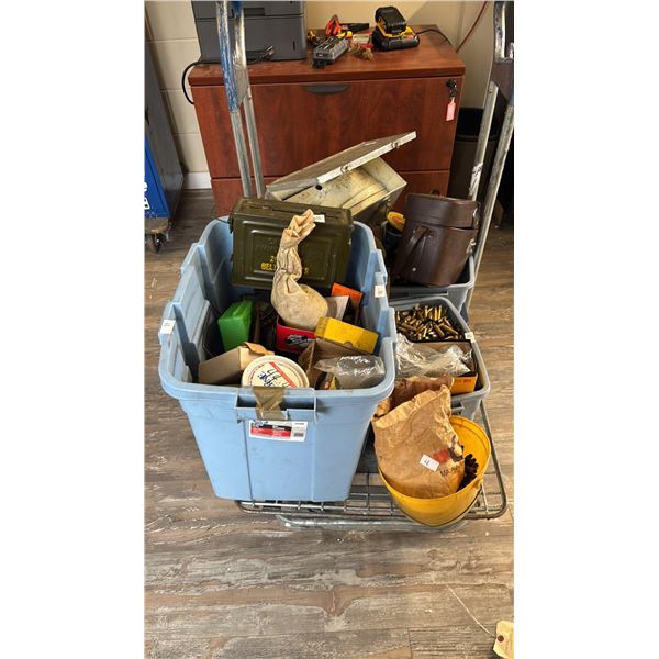 LARGE ASSORTMENT OF AMMUNITION