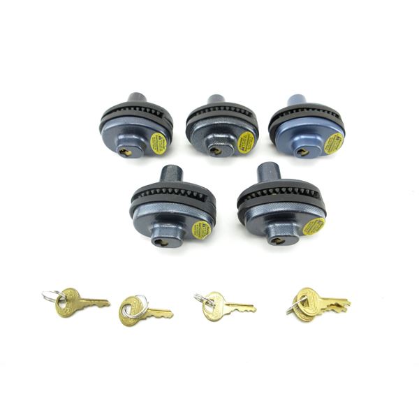 MASTER KEYED TRIGGER LOCK LOT