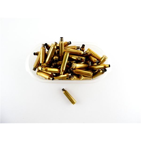 NON-PRIMED NOSLER .22-250 REM BRASS CASES LOT