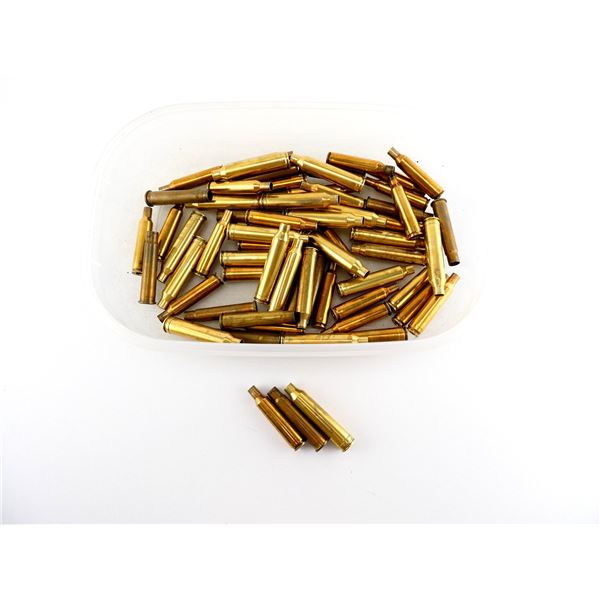 NON-PRIMED ASSORTED BRASS CASES LOT