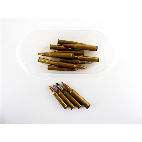 ASSORTED DUMMY RNDS LOT