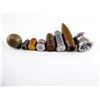 Image 3 : ASSORTED BULLETS LOT