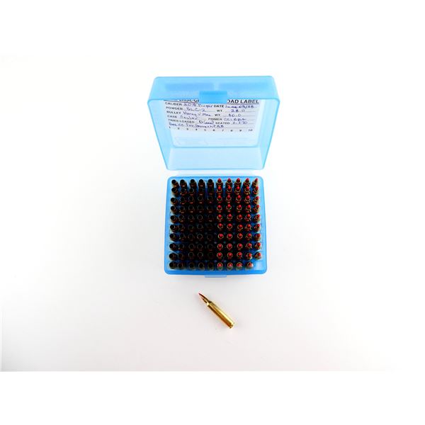 RELOADED ASSORTED .204 RUGER AMMO AND NON-PRIMED BRASS CASES LOT