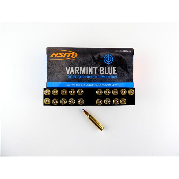 HSM .223 REM AMMO LOT