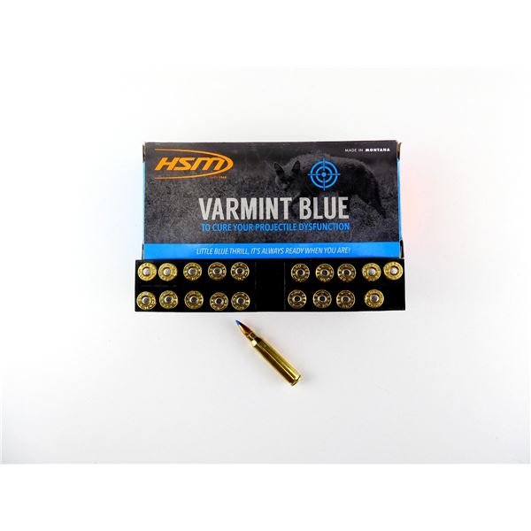 HSM .223 REM AMMO LOT