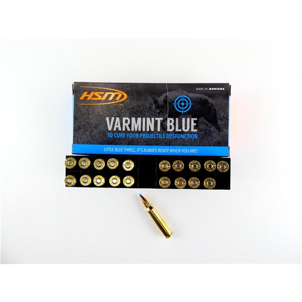 HSM .223 REM AMMO LOT