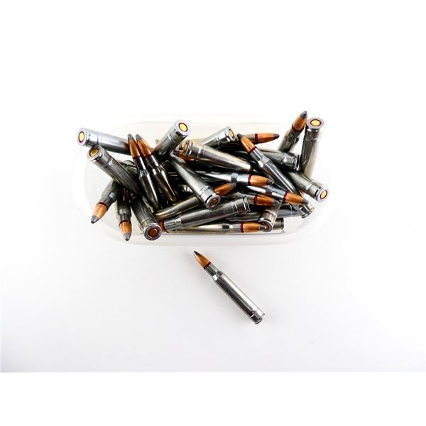 MFS .30-06 SPRG AMMO LOT