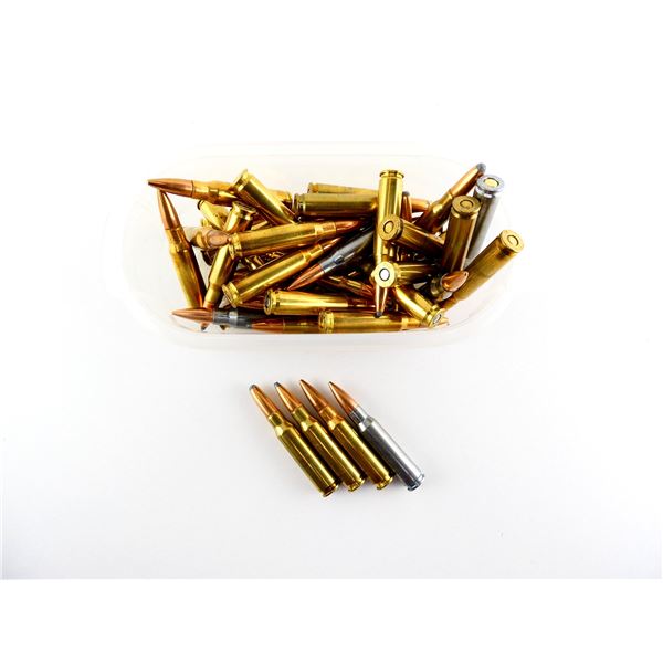 ASSORTED .308 WIN AMMO LOT