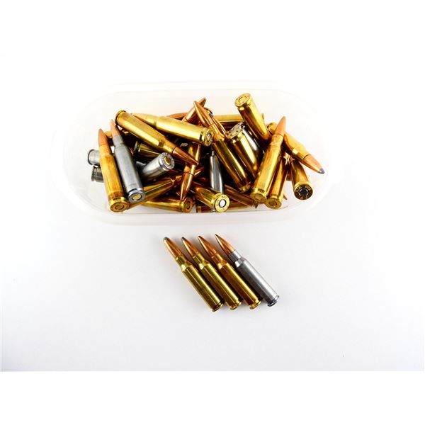 ASSORTED .308 WIN AMMO LOT