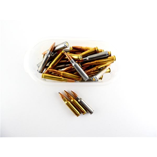 ASSORTED .308 WIN AMMO LOT