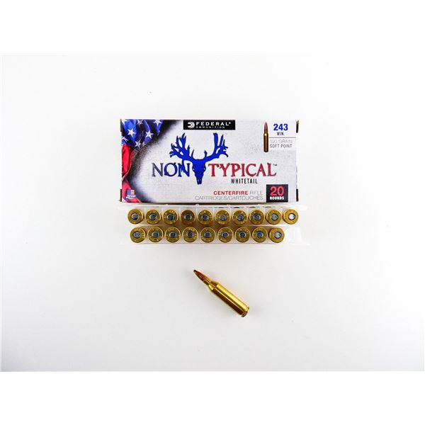 FEDERAL .243 WIN AMMO LOT