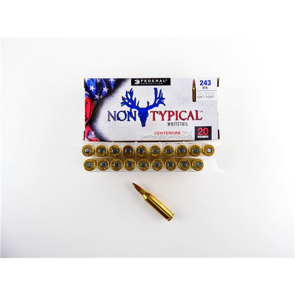 FEDERAL .243 WIN AMMO LOT