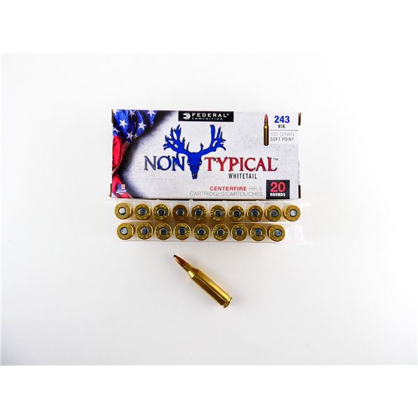 FEDERAL .243 WIN AMMO LOT