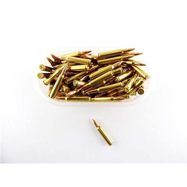 CANADIAN MILITARY .223 \ 5.56MM AMMO LOT