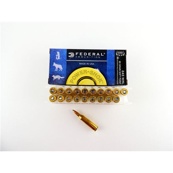 FEDERAL .243 WIN AMMO LOT