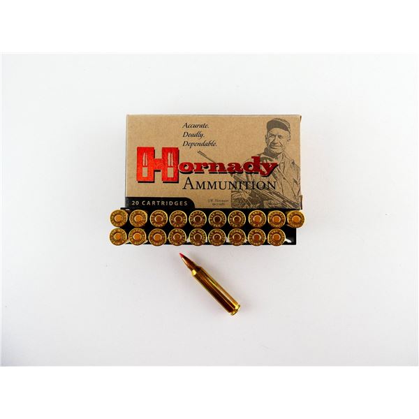 HORNADY .204 RUGER AMMO LOT