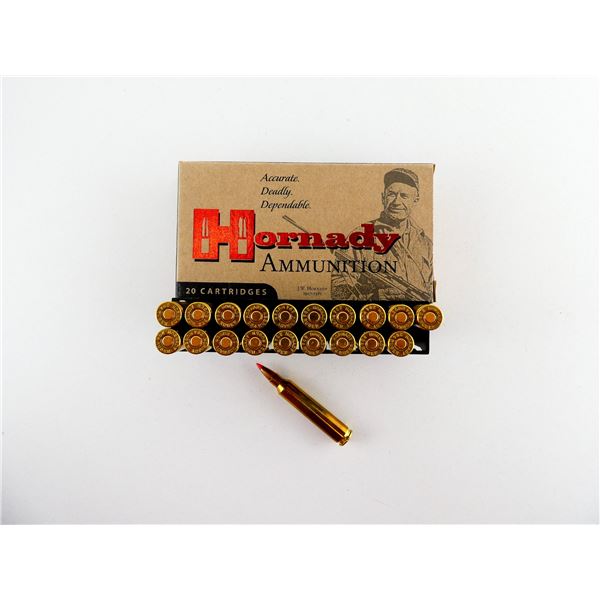 HORNADY .204 RUGER AMMO LOT