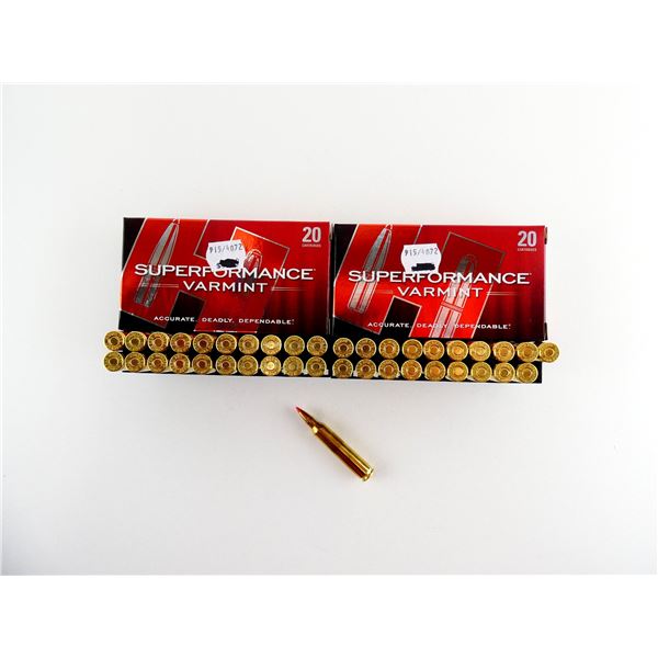 HORNADY .204 RUGER AMMO LOT