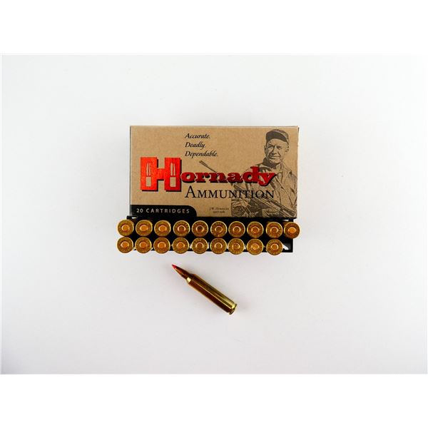 HORNADY .204 RUGER AMMO LOT