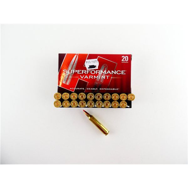 HORNADY .204 RUGER AMMO LOT