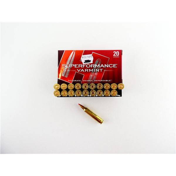 HORNADY .204 RUGER AMMO LOT