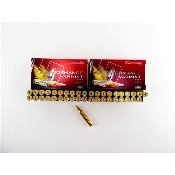 HORNADY .204 RUGER AMMO LOT