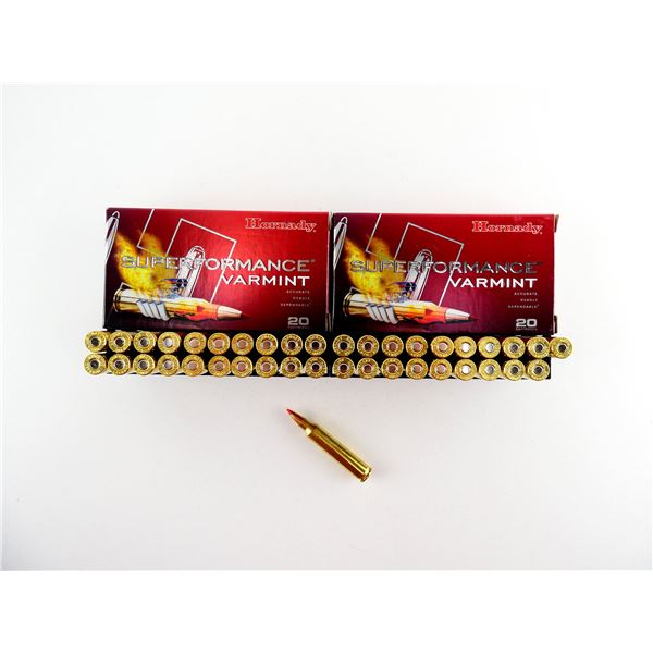 HORNADY .204 RUGER AMMO LOT