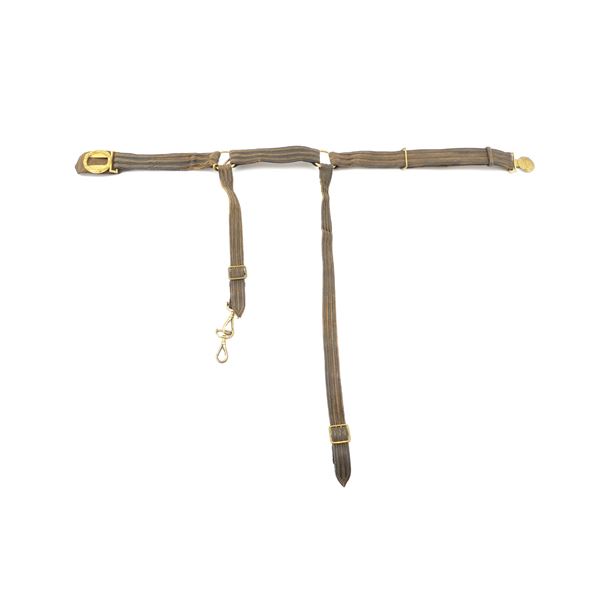 VICTORIAN ERA BRITISH NAVAL OFFICER'S SWORD BELT