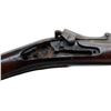 Image 13 : US SPRINGFIELD | Model: 1884 Trapdoor | Caliber: .45-70 GOVT