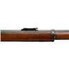 Image 17 : BRITISH MARTINI HENRY | Model: MKI | Caliber: .577-450 MH