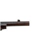 Image 19 : BRITISH MARTINI HENRY | Model: MKI | Caliber: .577-450 MH
