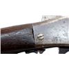 Image 13 : SHARPS BORCHARDT | Model: 1878 Saddle Ring Carbine | Caliber: .45-70 GOVT