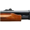 Image 12 : REMINGTON | Model: 870 Express Magnum | Caliber: 12 G X 3"