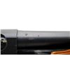 Image 13 : REMINGTON | Model: 870 Express Magnum | Caliber: 12 G X 3"
