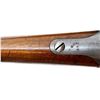 Image 19 : SWEDISH MAUSER | Model: 1896 | Caliber: 6.5 X 55