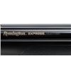 Image 10 : REMINGTON | Model: Express Hunter | Caliber: .22 CAL