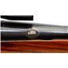 Image 11 : ROSS RIFLE | Model: M10 Sporter | Caliber: .303 BR