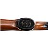 Image 15 : TED WILLIAMS | Model: 21 | Caliber: 20 G X 3"