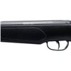 Image 6 : REMINGTON | Model: Express Hunter | Caliber: .22 CAL