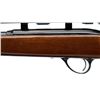 Image 6 : SAVAGE | Model: 63M | Caliber: .22 WIN MAG