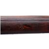 Image 19 : ISHAPORE LEE ENFIELD | Model: NO1 MK3*  | Caliber: 410 G X 2 1/2"