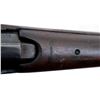 Image 29 : ISHAPORE LEE ENFIELD | Model: NO1 MK3*  | Caliber: 410 G X 2 1/2"