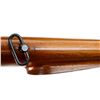 Image 15 : WINCHESTER | Model: 70 | Caliber: .375 H&H MAG